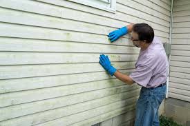 Best Siding Painting and Refinishing  in Hamilton, AL